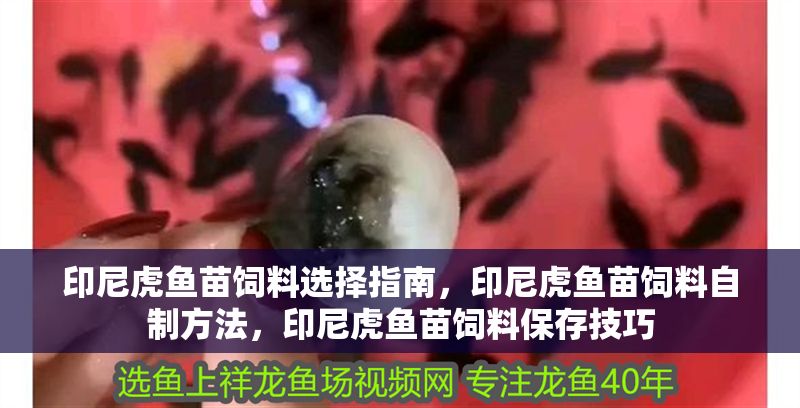 印尼虎魚苗飼料選擇指南，印尼虎魚苗飼料自制方法，印尼虎魚苗飼料保存技巧