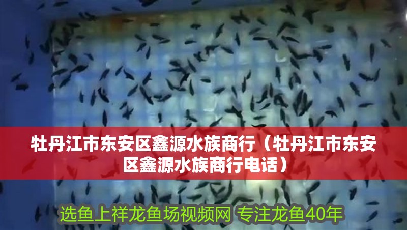 牡丹江市東安區鑫源水族商行（牡丹江市東安區鑫源水族商行電話）