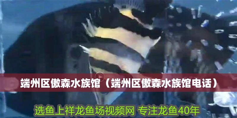 端州區傲森水族館（端州區傲森水族館電話）
