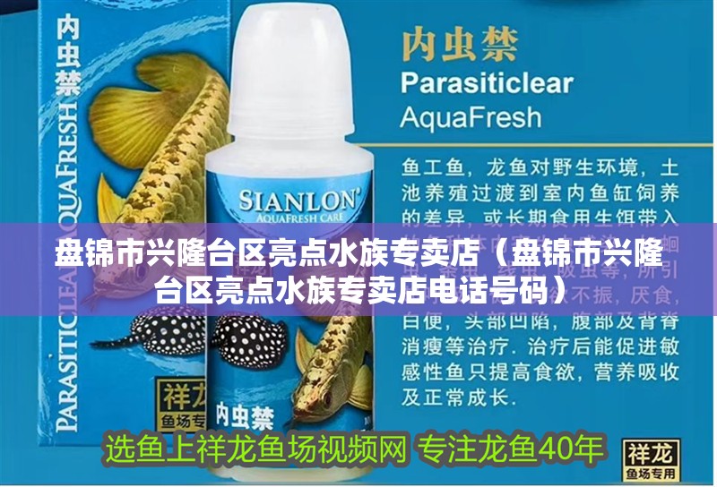 盤錦市興隆臺區亮點水族專賣店（盤錦市興隆臺區亮點水族專賣店電話號碼）