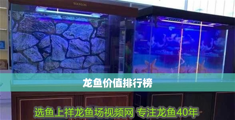 龍魚價值排行榜