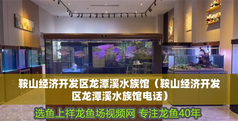 鞍山經濟開發區龍潭溪水族館（鞍山經濟開發區龍潭溪水族館電話） 鞍山經濟開發區龍潭溪水族館（鞍山經濟開發區龍潭溪水族館電話） 全國水族館企業名錄 第2張