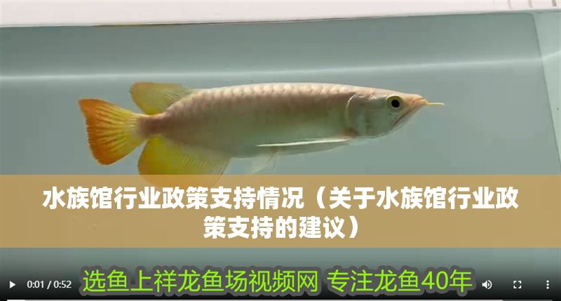 水族館行業(yè)政策支持情況（關(guān)于水族館行業(yè)政策支持的建議）