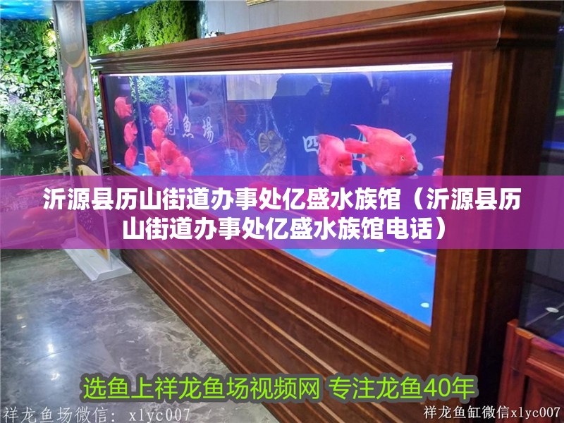 沂源縣歷山街道辦事處億盛水族館（沂源縣歷山街道辦事處億盛水族館電話）