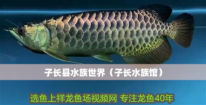 子長縣水族世界（子長水族館）