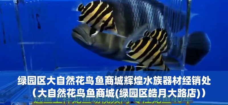 綠園區大自然花鳥魚商城輝煌水族器材經銷處（大自然花鳥魚商城(綠園區皓月大路店)）