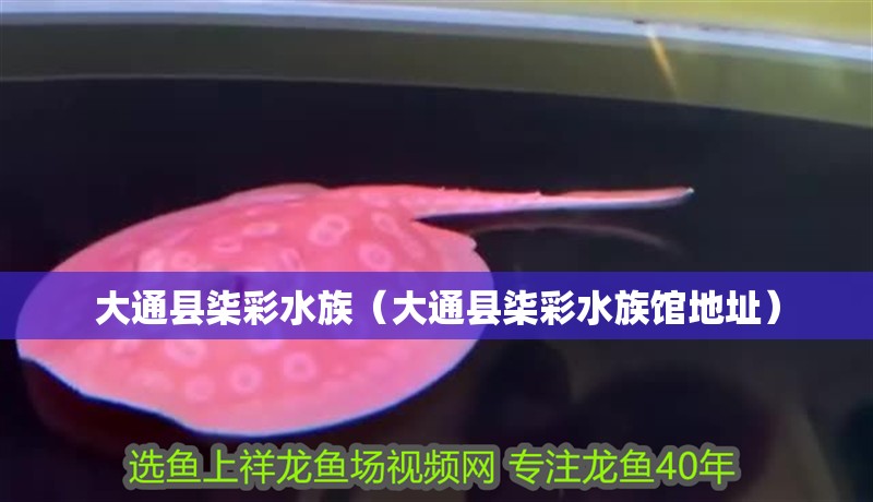 大通縣柒彩水族（大通縣柒彩水族館地址）