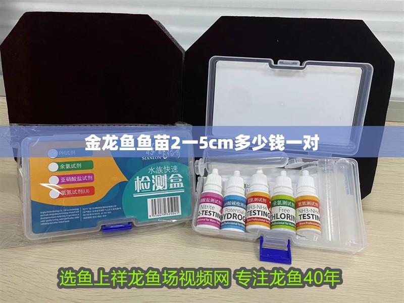 金龍魚魚苗2一5cm多少錢一對