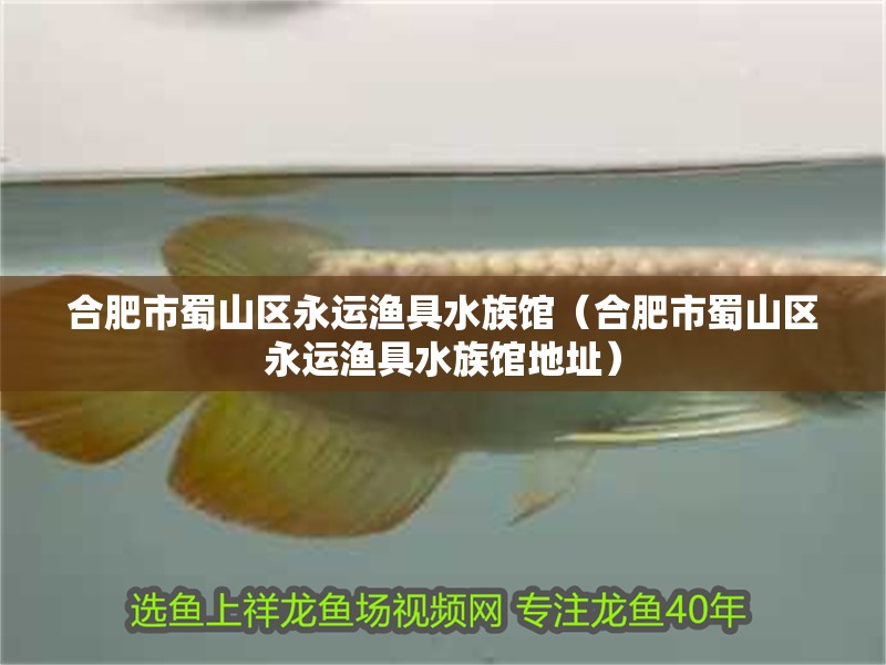 合肥市蜀山區(qū)永運(yùn)漁具水族館（合肥市蜀山區(qū)永運(yùn)漁具水族館地址）