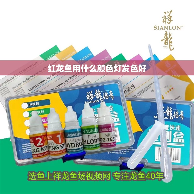 紅龍魚用什么顏色燈發(fā)色好