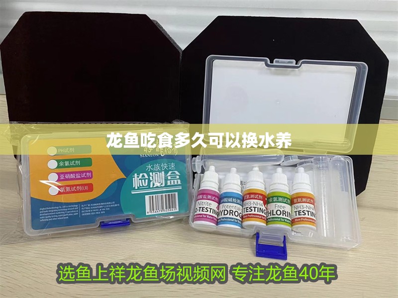 龍魚吃食多久可以換水養