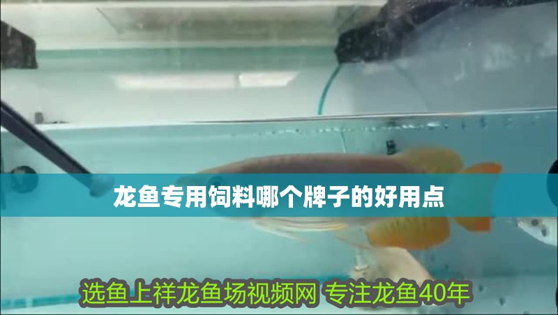 龍魚專用飼料哪個牌子的好用點