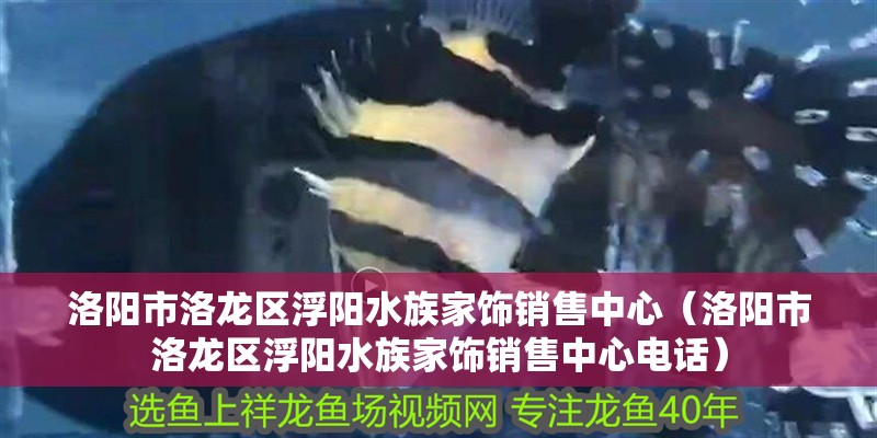 洛陽市洛龍區浮陽水族家飾銷售中心（洛陽市洛龍區浮陽水族家飾銷售中心電話）