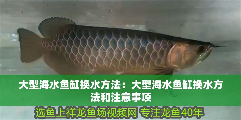 大型海水魚缸換水方法：大型海水魚缸換水方法和注意事項