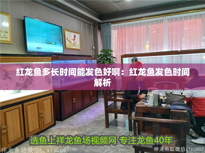 紅龍魚多長時間能發色好?。杭t龍魚發色時間解析