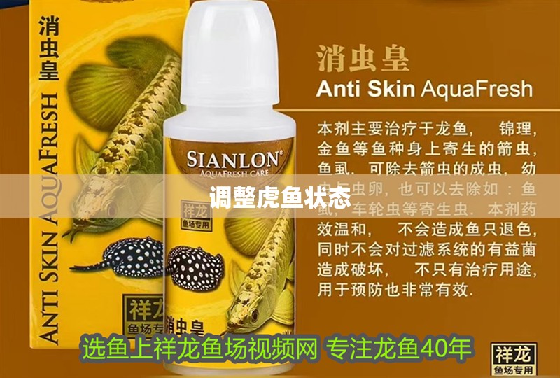 調(diào)整虎魚狀態(tài) 調(diào)整虎魚狀態(tài) 虎魚百科