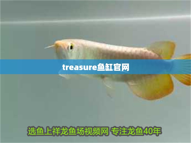 treasure魚缸官網
