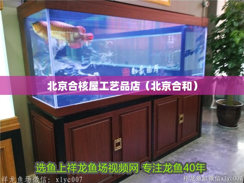 北京合核屋工藝品店(北京合和) 全國水族館企業名錄 第2張 北京合核屋工藝品店(北京合和) 北京合核屋工藝品店(北京合和) 全國水族館企業名錄 第2張