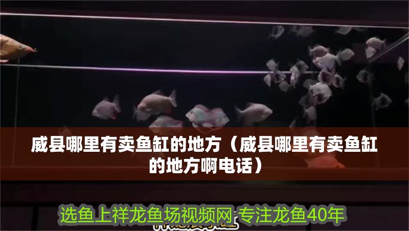 威縣哪里有賣(mài)魚(yú)缸的地方（威縣哪里有賣(mài)魚(yú)缸的地方啊電話(huà)）