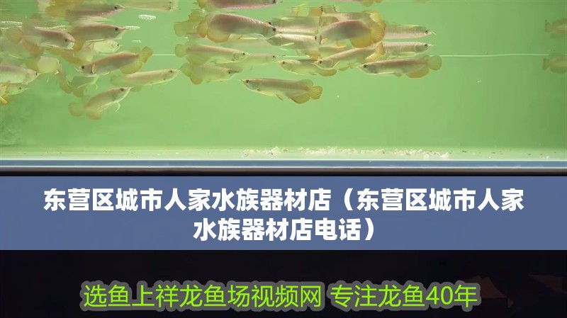 東營區(qū)城市人家水族器材店（東營區(qū)城市人家水族器材店電話）