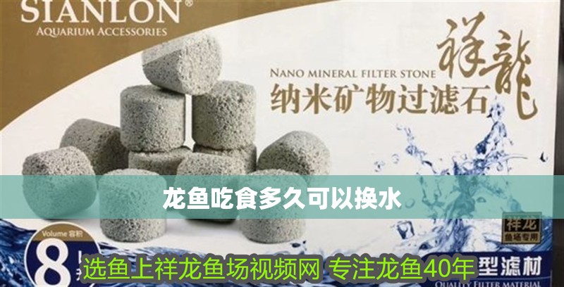 龍魚(yú)吃食多久可以換水