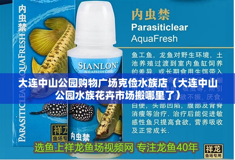 大連中山公園購物廣場克儉水族店（大連中山公園水族花卉市場搬哪里了）