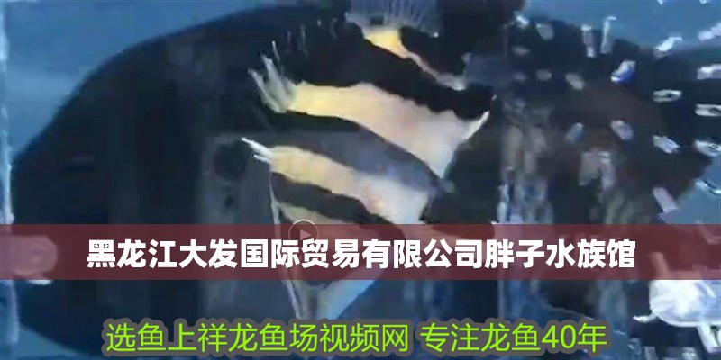 黑龍江大發國際貿易有限公司胖子水族館