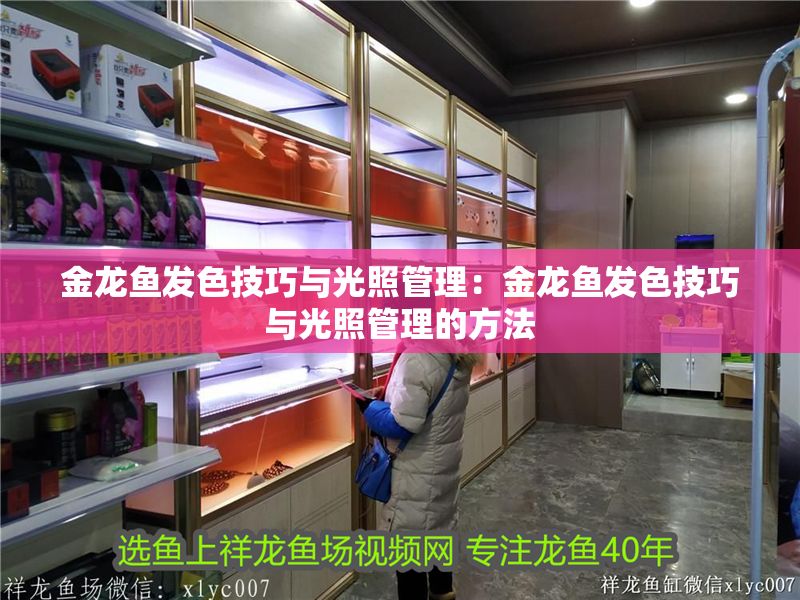 金龍魚發色技巧與光照管理：金龍魚發色技巧與光照管理的方法