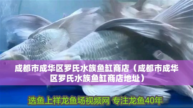 成都市成華區羅氏水族魚缸商店（成都市成華區羅氏水族魚缸商店地址）