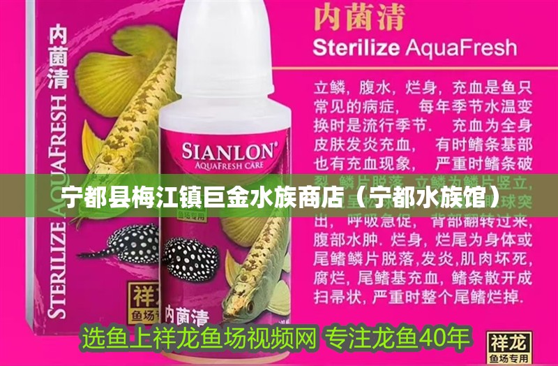 寧都縣梅江鎮巨金水族商店（寧都水族館）