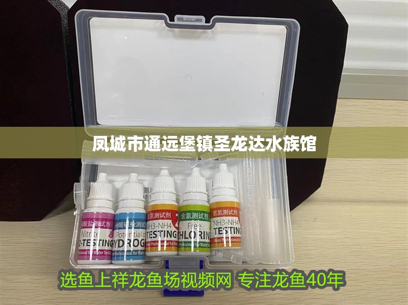 鳳城市通遠(yuǎn)堡鎮(zhèn)圣龍達(dá)水族館