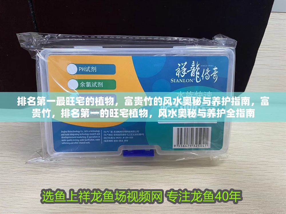 詳細(xì)閱讀:排名第一最旺宅的植物,富貴竹的風(fēng)水奧秘與養(yǎng)護(hù)指南,富貴竹,排名第一的旺宅植物,風(fēng)水奧秘與養(yǎng)護(hù)全指南 排名第一最旺宅的植物,富貴竹的風(fēng)水奧秘與養(yǎng)護(hù)指南,富貴竹,排名第一的旺宅植物,風(fēng)水奧秘與養(yǎng)護(hù)全指南