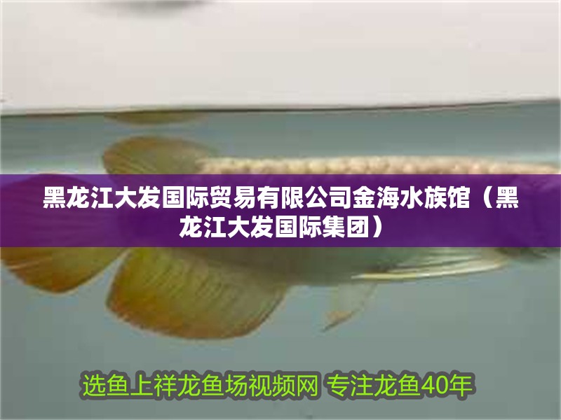 黑龍江大發國際貿易有限公司金海水族館（黑龍江大發國際集團）