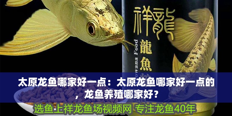 太原龍魚哪家好一點：太原龍魚哪家好一點的，龍魚養(yǎng)殖哪家好？