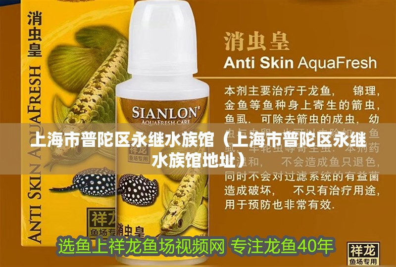 上海市普陀區永繼水族館（上海市普陀區永繼水族館地址）