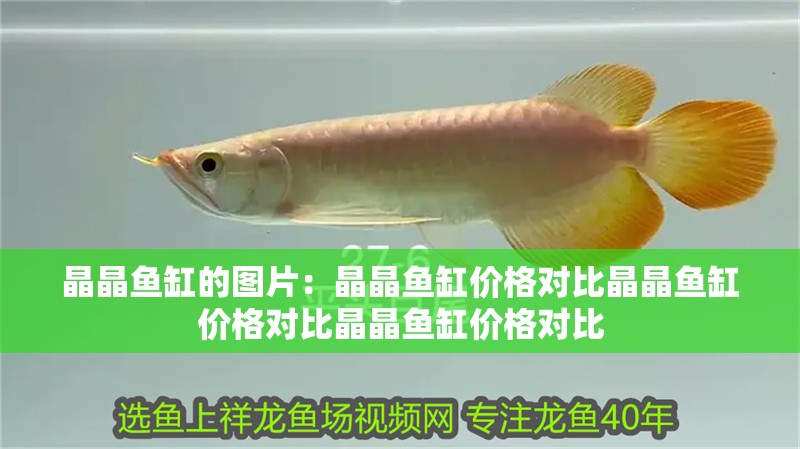 晶晶魚缸的圖片：晶晶魚缸價格對比晶晶魚缸價格對比晶晶魚缸價格對比