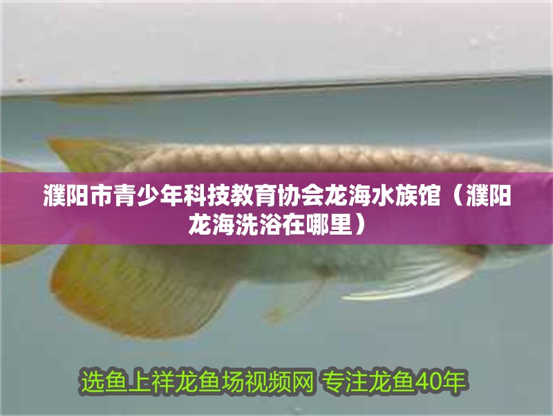 濮陽市青少年科技教育協會龍海水族館（濮陽龍海洗浴在哪里）