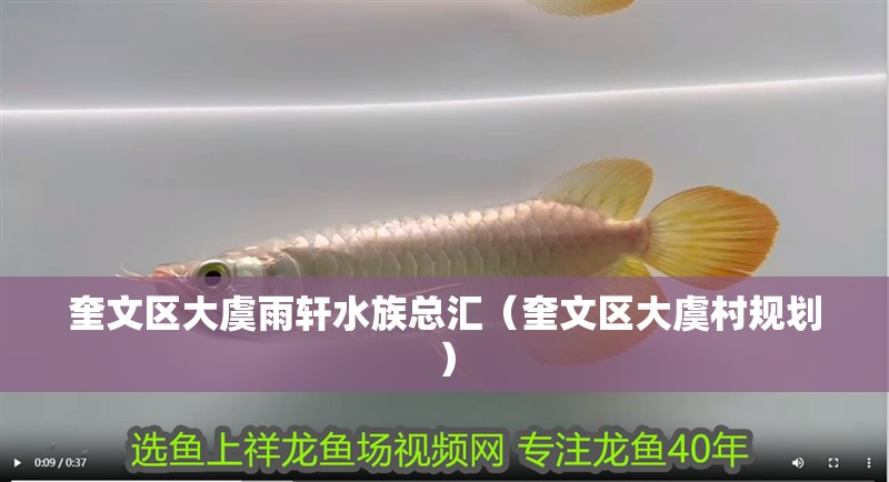 奎文區大虞雨軒水族總匯（奎文區大虞村規劃）