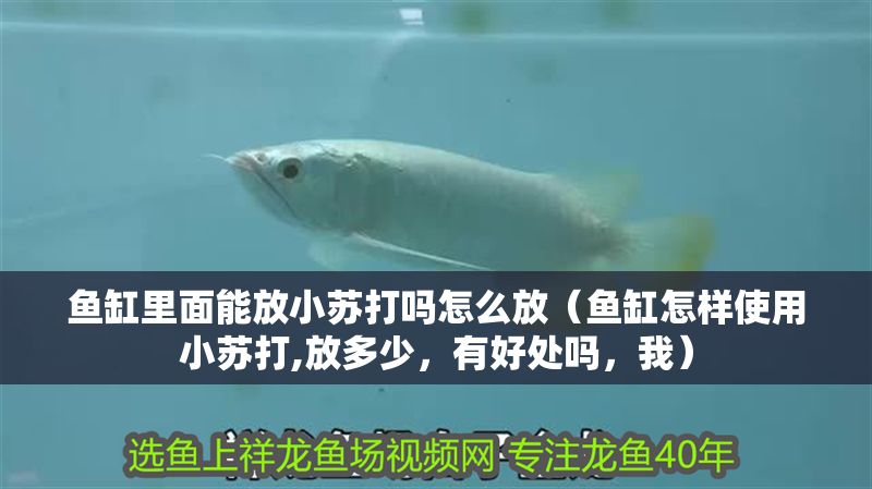 魚缸里面能放小蘇打嗎怎么放（魚缸怎樣使用小蘇打,放多少，有好處嗎，我）