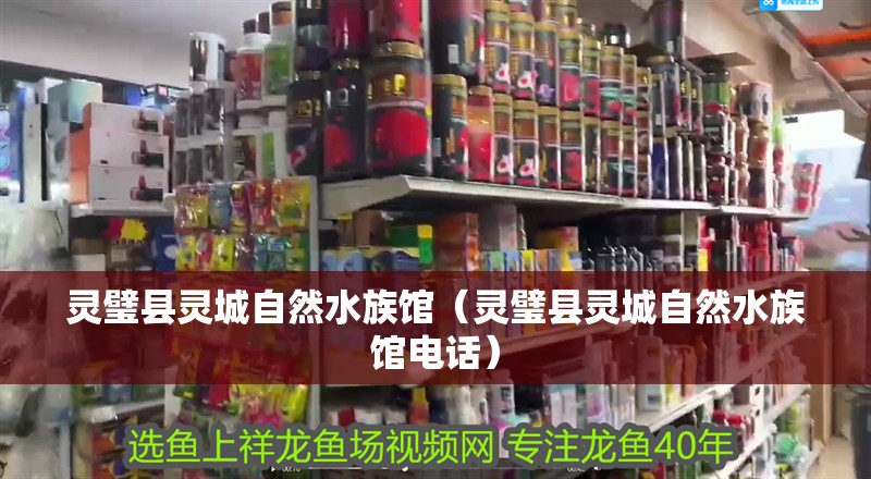 靈璧縣靈城自然水族館（靈璧縣靈城自然水族館電話）