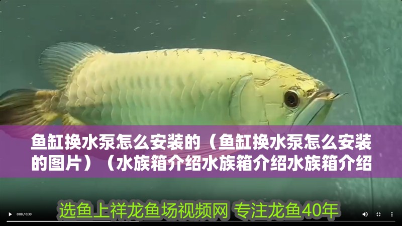魚缸換水泵怎么安裝的（魚缸換水泵怎么安裝的圖片）（水族箱介紹水族箱介紹水族箱介紹水族箱用來飼養熱帶魚的作用）