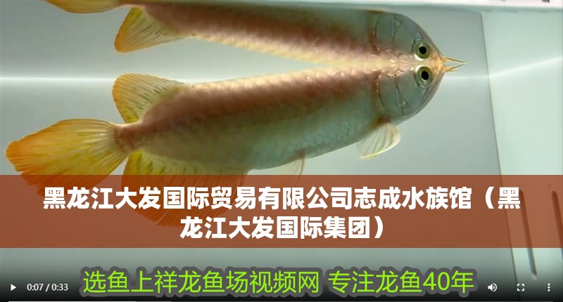 黑龍江大發國際貿易有限公司志成水族館（黑龍江大發國際集團）