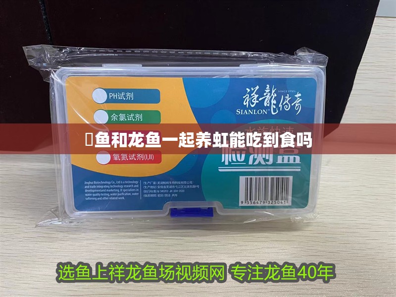 魟魚和龍魚一起養(yǎng)虹能吃到食嗎