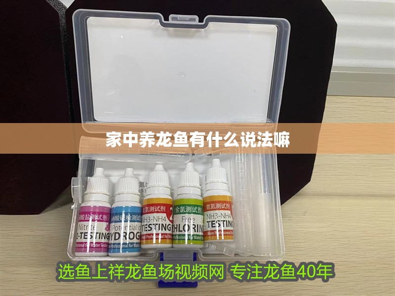 家中養(yǎng)龍魚有什么說法嘛