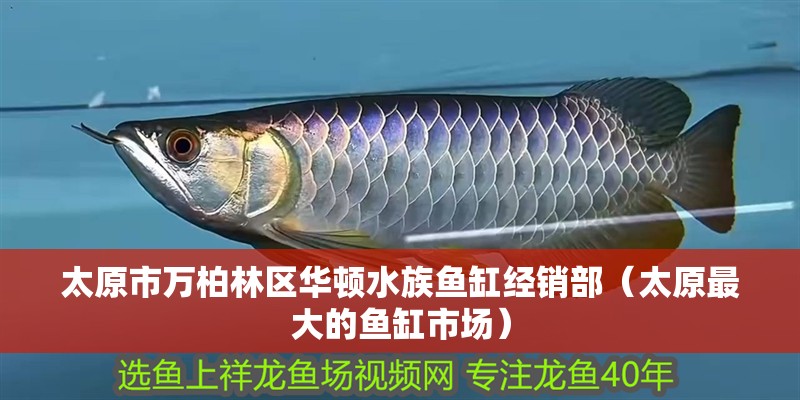 太原市萬柏林區(qū)華頓水族魚缸經(jīng)銷部（太原最大的魚缸市場）