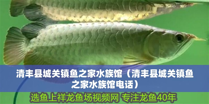 清豐縣城關鎮魚之家水族館(清豐縣城關鎮魚之家水族館電話) 全國水族館企業名錄 第2張 清豐縣城關鎮魚之家水族館(清豐縣城關鎮魚之家水族館電話) 清豐縣城關鎮魚之家水族館(清豐縣城關鎮魚之家水族館電話) 全國水族館企業名錄 第2張