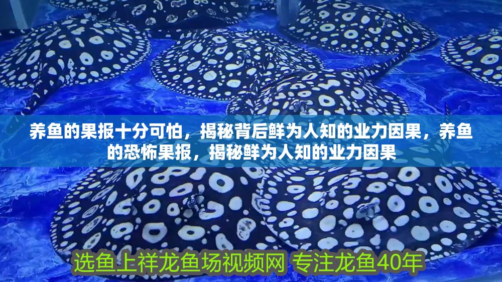 養魚的果報十分可怕，揭秘背后鮮為人知的業力因果，養魚的恐怖果報，揭秘鮮為人知的業力因果