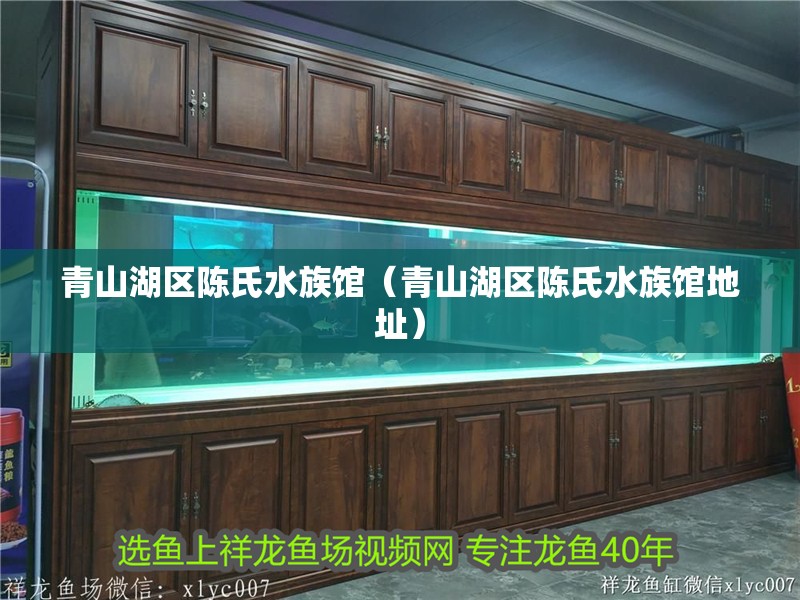 青山湖區(qū)陳氏水族館（青山湖區(qū)陳氏水族館地址）