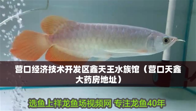 營口經濟技術開發區鑫天王水族館（營口天鑫大藥房地址）