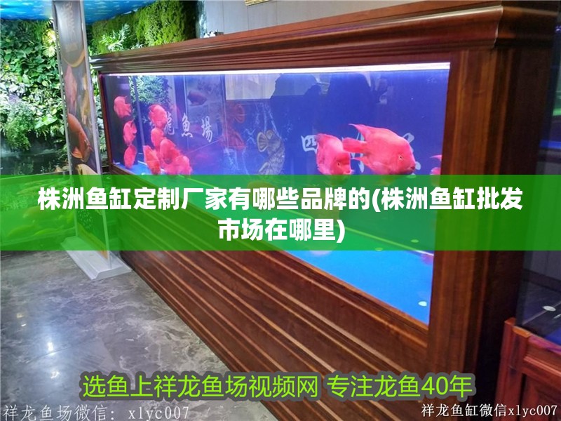 株洲魚缸定制廠家有哪些品牌的(株洲魚缸批發市場在哪里)